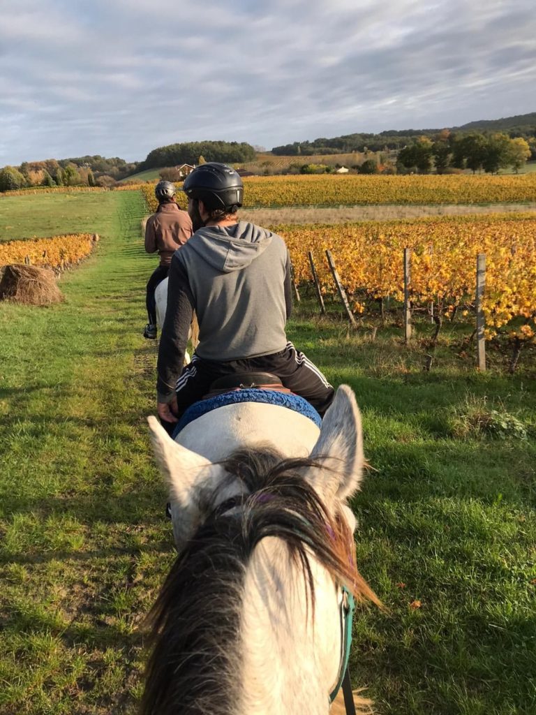 perigord pourpre a cheval