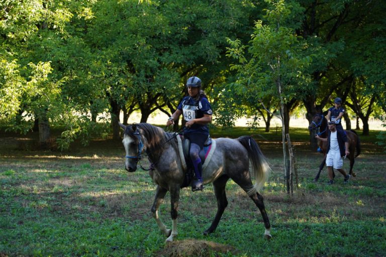 Cavalier à cheval